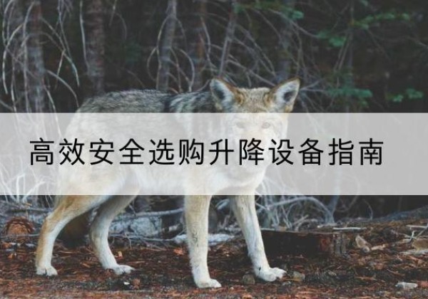 沙坡头升降货梯厂家推荐-*安全选购升降设备指南