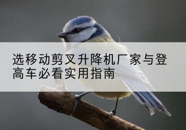 沙坡头电动升降机厂家-选移动剪叉升降机厂家与登高车必看实用指南