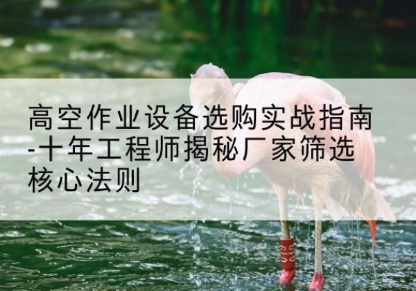 沙坡头剪叉式升降机厂家-高空作业设备选购实战指南-十年工程师揭秘厂家筛选核心法则
